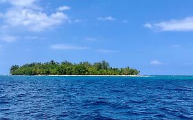 Dany Island